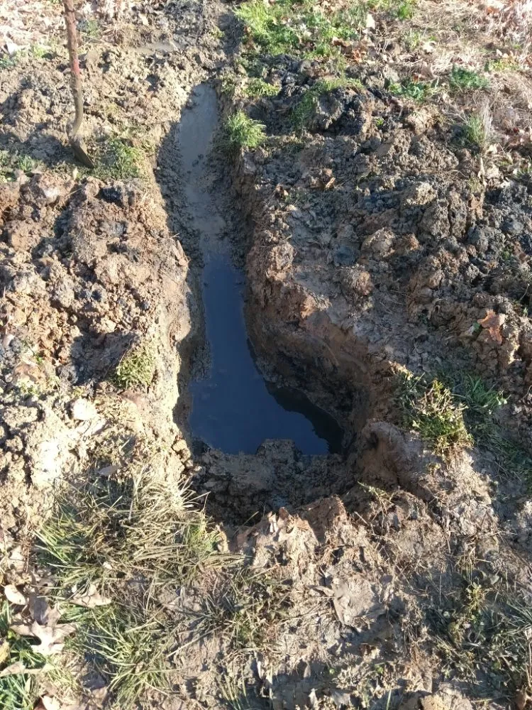 Slide of Arnold's sales