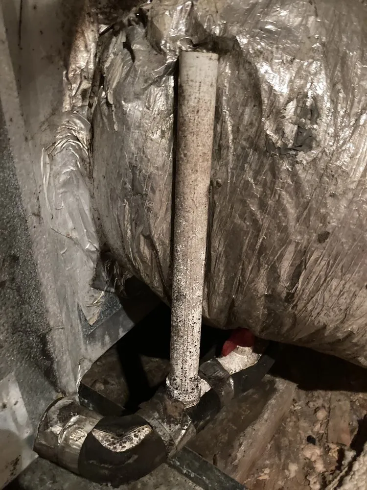 Slide of Arrington and Sons