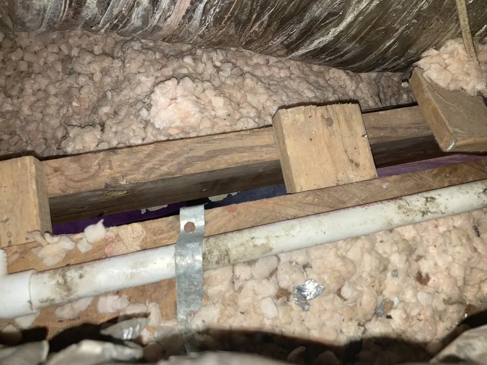 Slide of Arrington and Sons