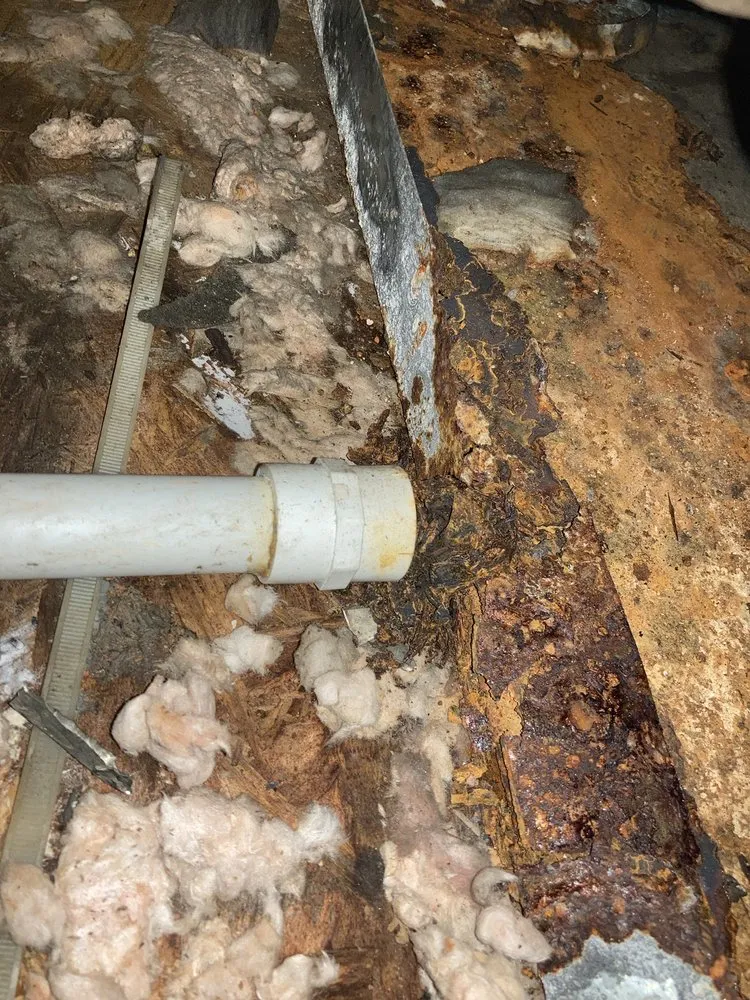 Slide of Arrington and Sons