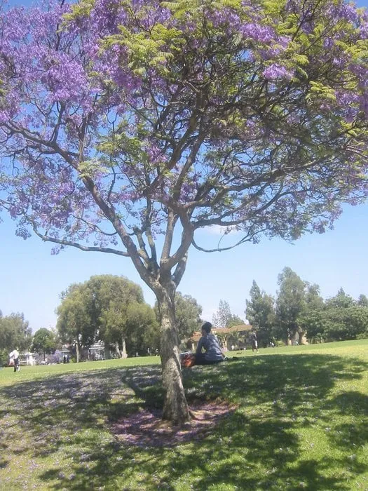 Slide of Arrow Leak Detection