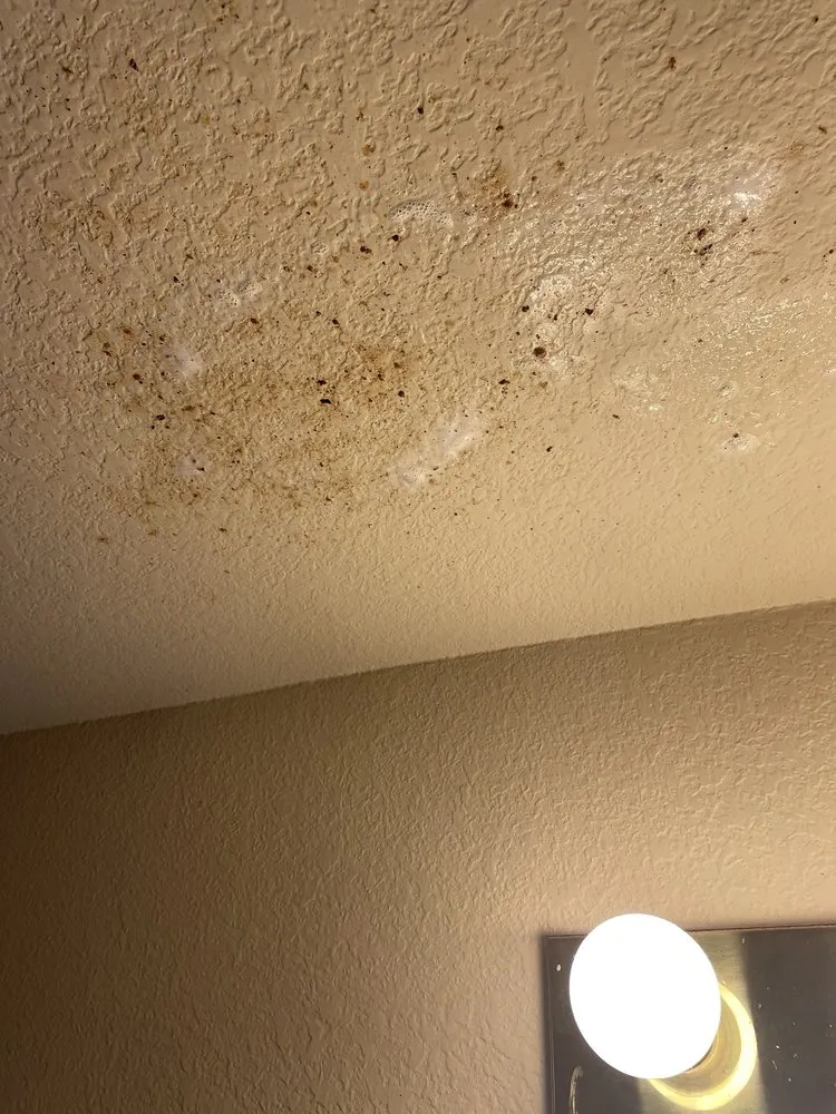 Slide of ARS / Rescue Rooter