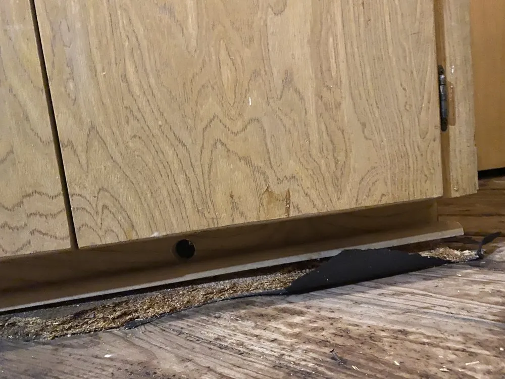 Slide of ARS / Rescue Rooter