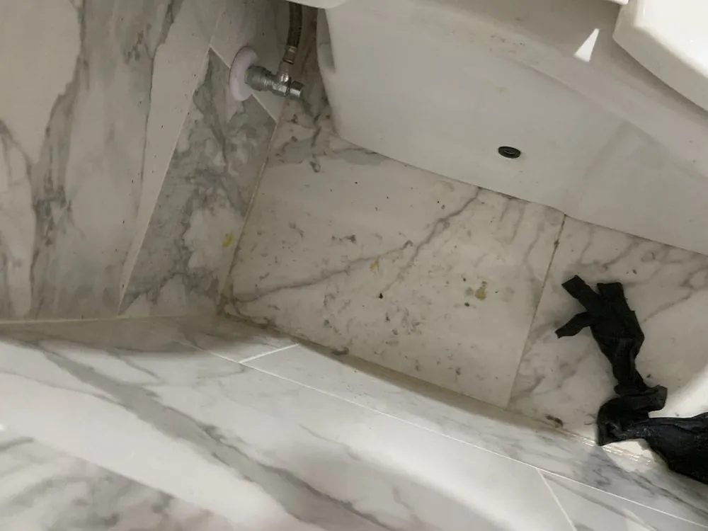 Reliable emergency plumbing for homes in Houston, TX by ARS / Rescue Rooter