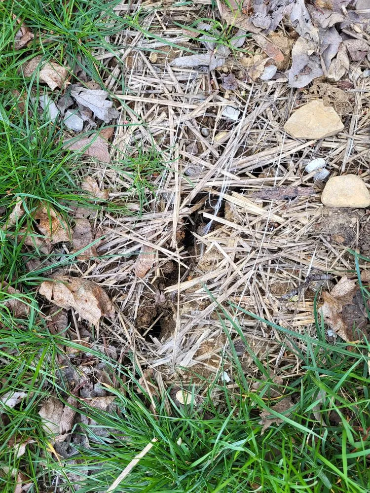 Slide of ARS Rescue Rooter