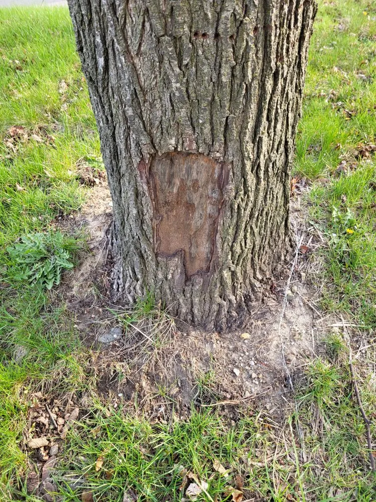 Slide of ARS Rescue Rooter