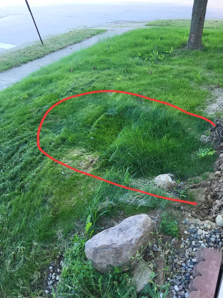 Slide of ARS Rescue Rooter