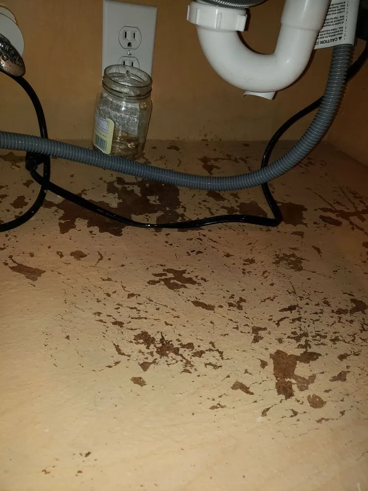 Slide of ARS Rescue Rooter