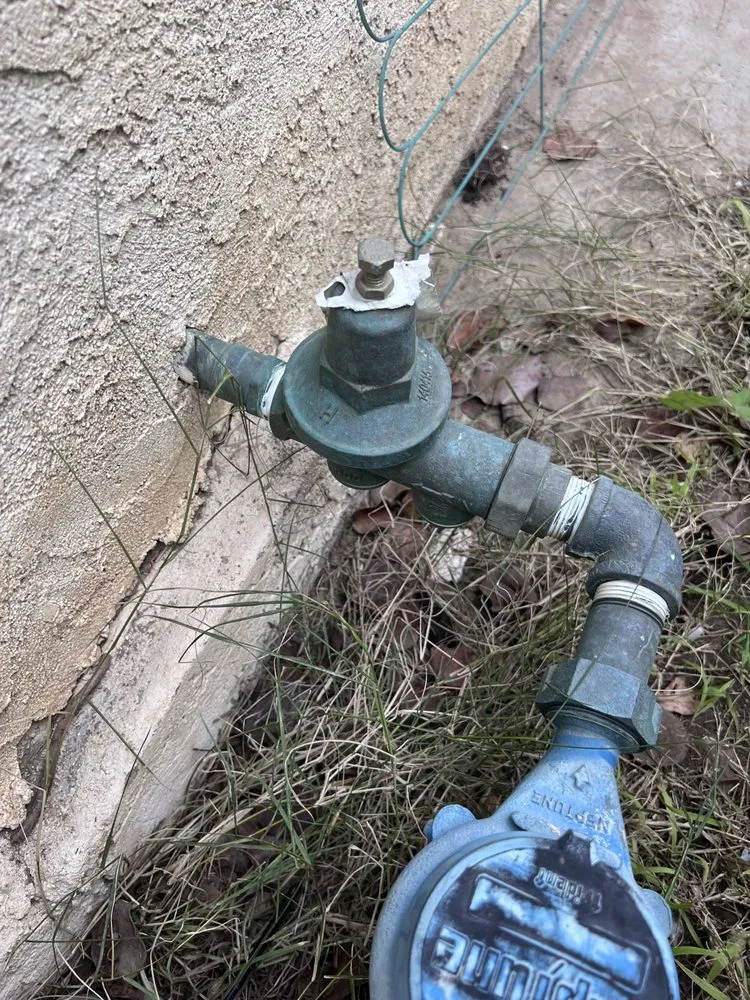 Slide of Art The Plumber