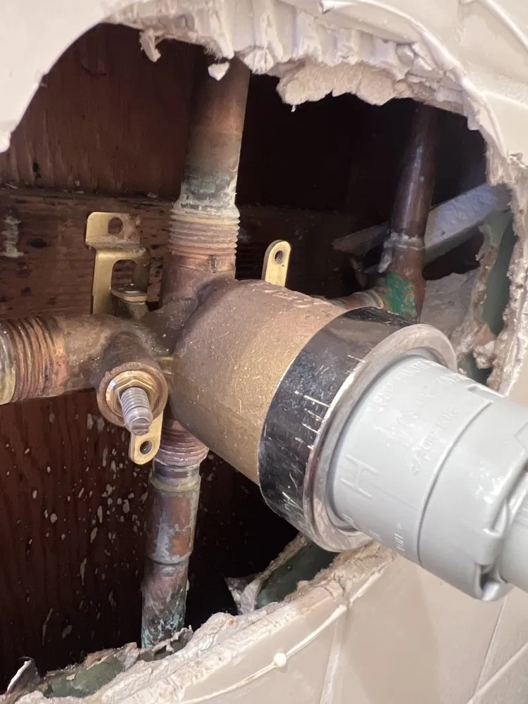 Slide of Art The Plumber