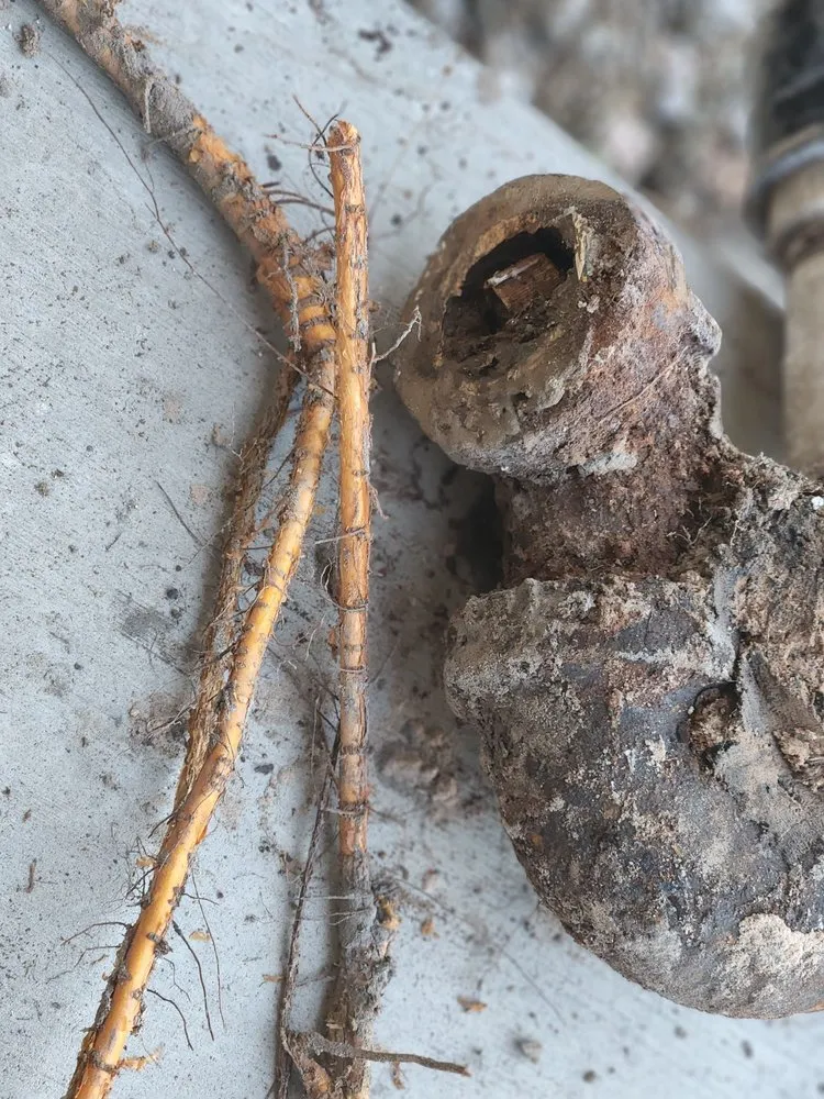 Affordable plumbing repair in Las Vegas, NV by Arturo The Handyman Repairs
