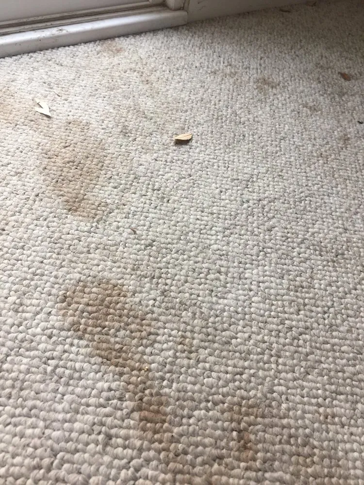 Slide of ARW Plumbing