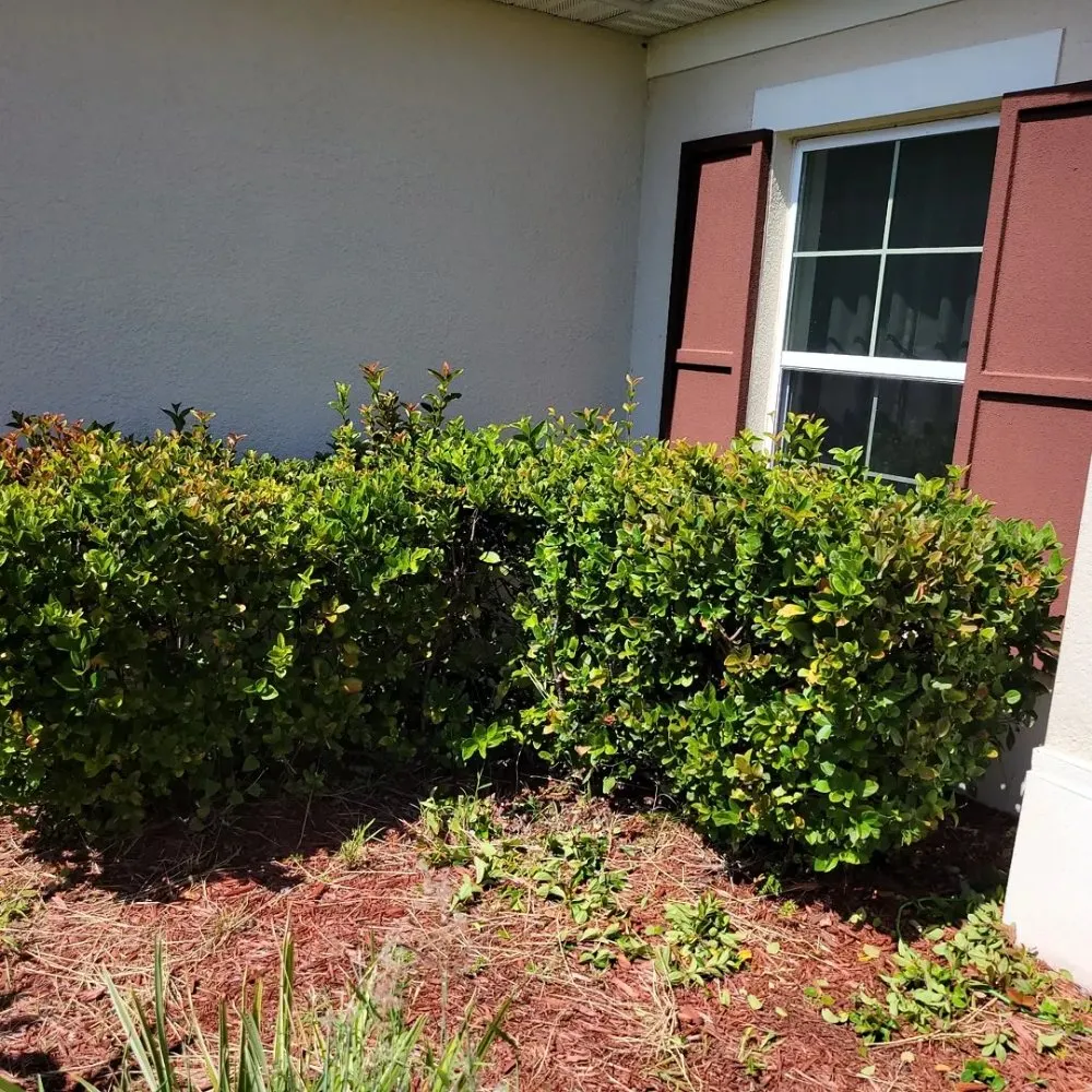 Slide of A&S cleaning&handyman service