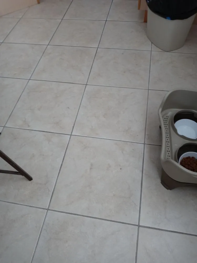 Affordable drain cleaning service in Celebration, FL - A&S cleaning&handyman service