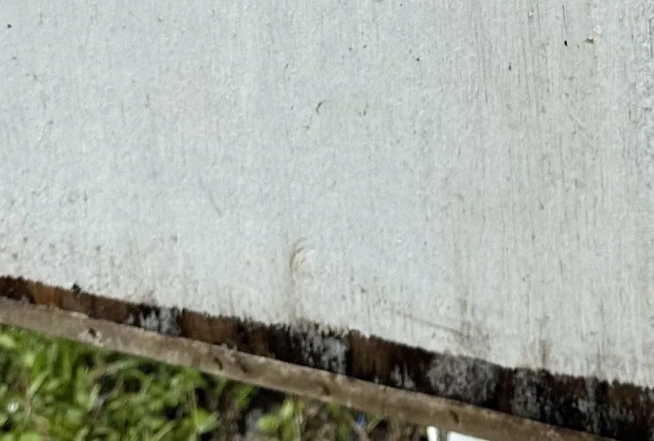 Slide of ASAP Plumbing and Drain Cleaning Services