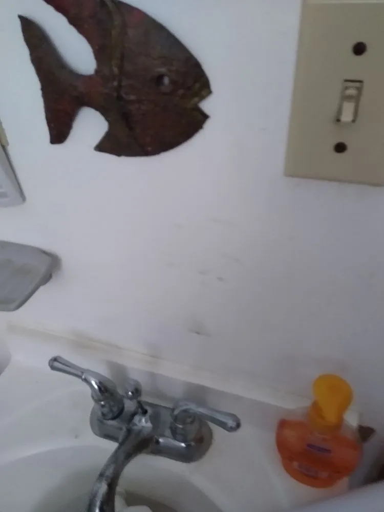 Slide of Asap Plumbing