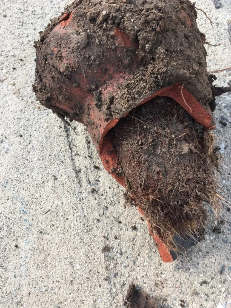 Expert plumbing repair experts serving Santa Fe Springs, CA - ASAP Rooter & Plumbing