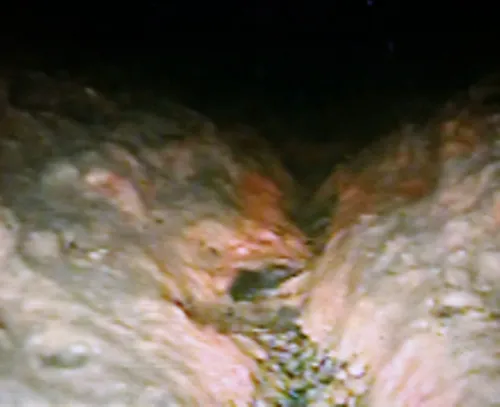 Slide of ASAP Rooter