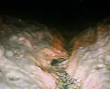 Slide of ASAP Rooter