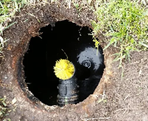 Slide of ASAP Rooter