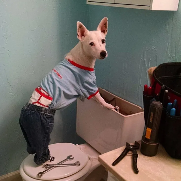 Slide of ASAP Sewer & Drain Cleaning | Green Bay