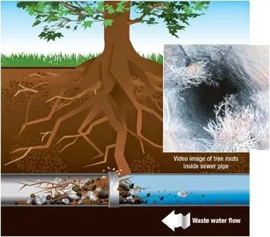 Slide of ASAP Sewer & Drain Cleaning | Green Bay