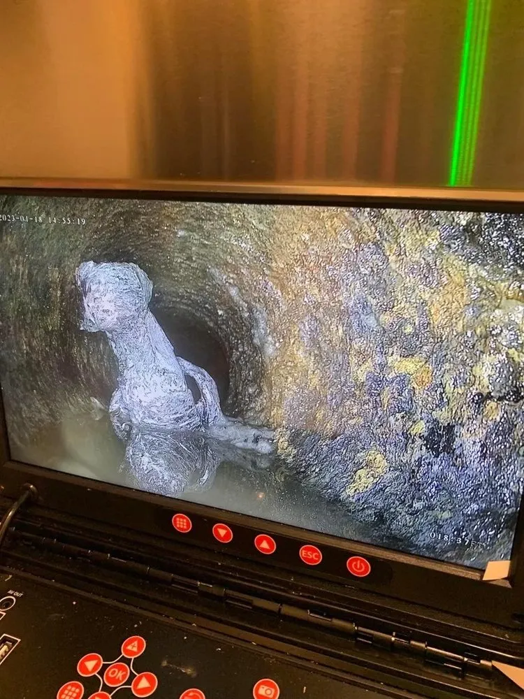 Slide of Asap Sewer And Drain Cleaning