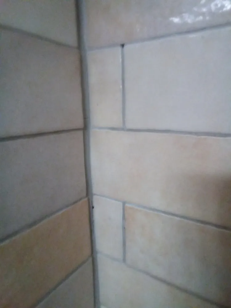 Trusted drain cleaning experts serving St. Petersburg, FL - ASAP Sewer and Drain Cleaning