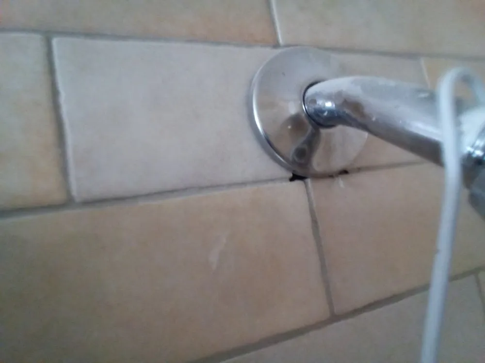 Top-rated pipe repair service in St. Petersburg, FL - ASAP Sewer and Drain Cleaning
