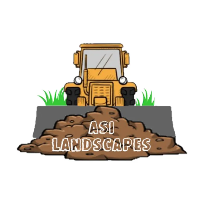 Slide of ASI Landscape