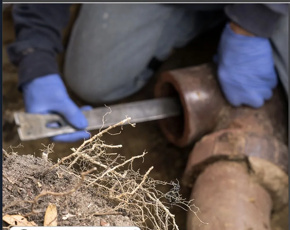 Slide of ASP Mechanical