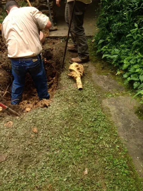 Slide of Associated Plumbers