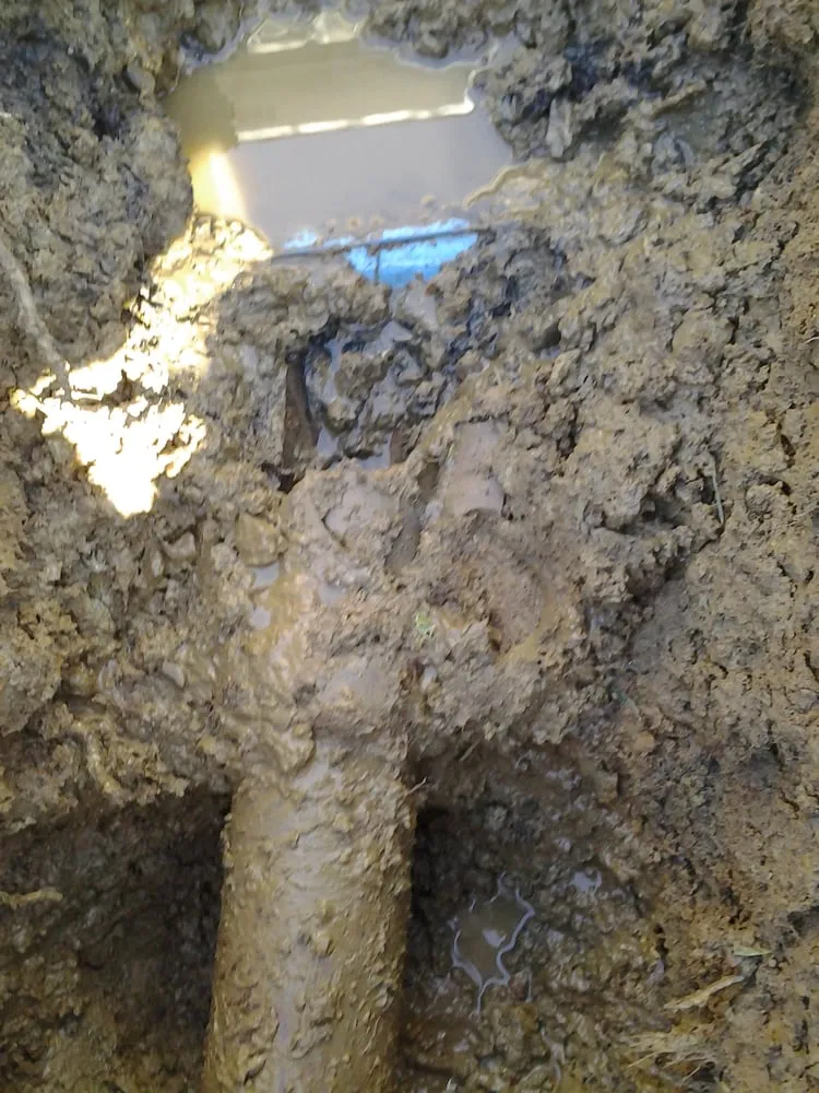 Slide of Associated Plumbers