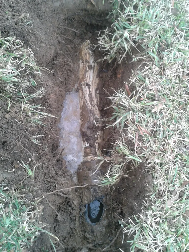 Affordable leak detection service in Little Rock, AR - Associated Plumbers