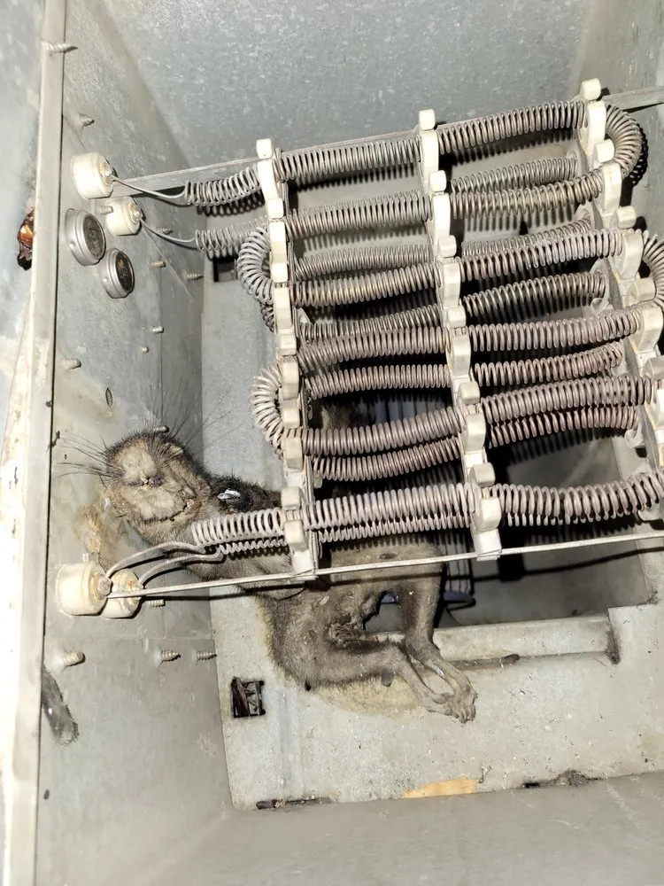 Slide of Assured Comfort Heating, Air, Plumbing