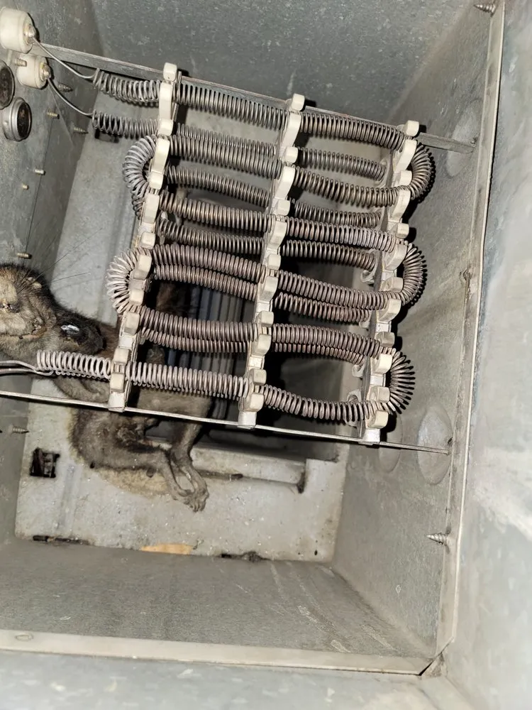 Slide of Assured Comfort Heating, Air, Plumbing