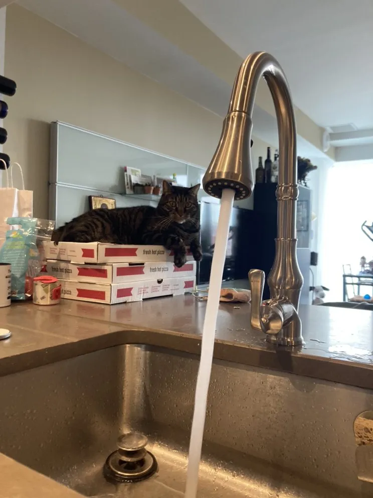 Affordable leak detection for homes in Island City,, NY by Astoria Plumbers