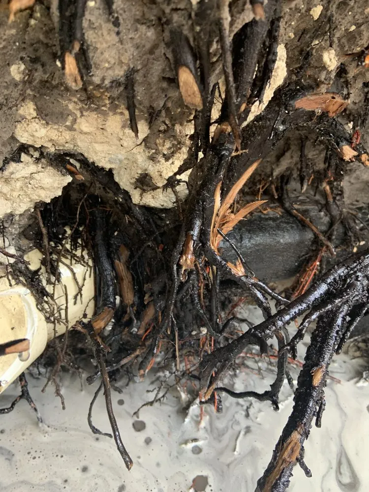 Quality leak detection experts serving St. Petersburg, FL - Astro Plumbing Services