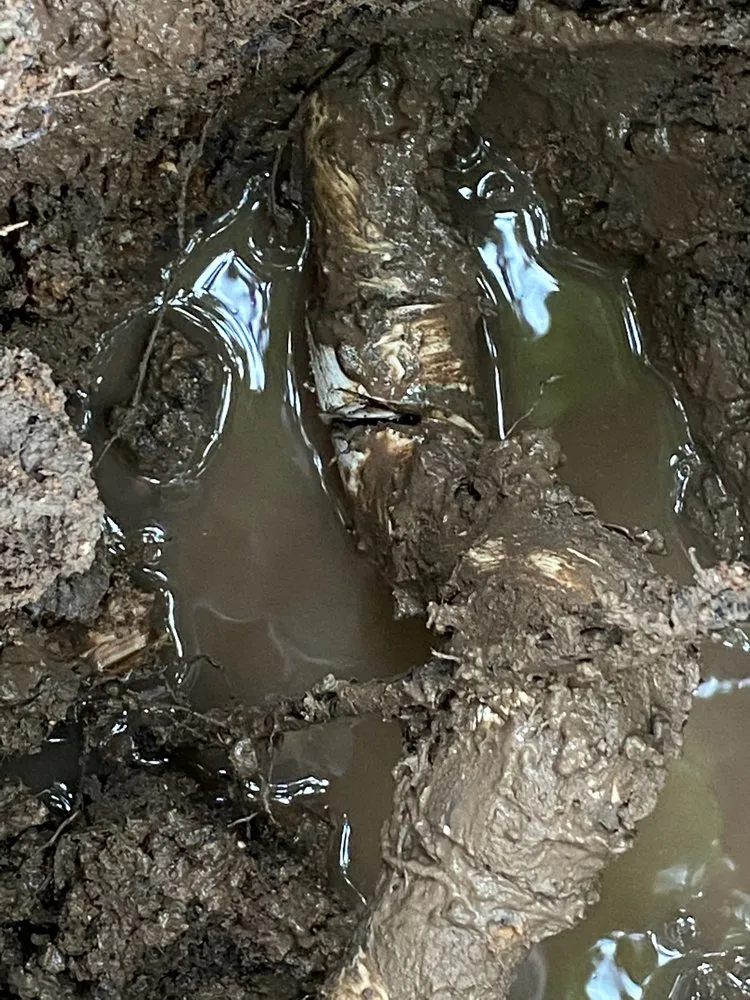 Slide of A&T Service Plumbing