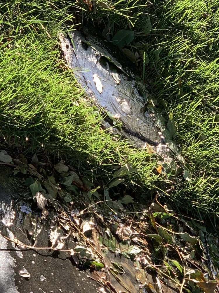 Emergency drain cleaning experts serving Menifee, CA - ATC Leak Detection and Plumbing Services