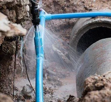 Slide of Atlantic Green