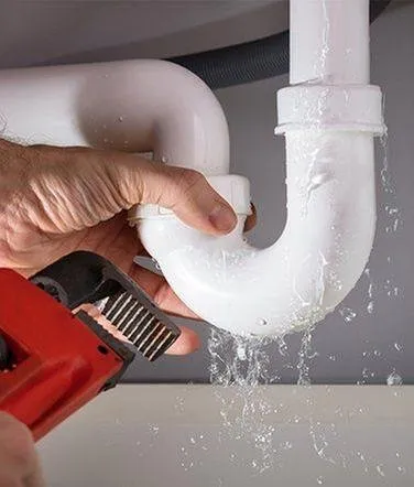 Slide of Atlantic Green