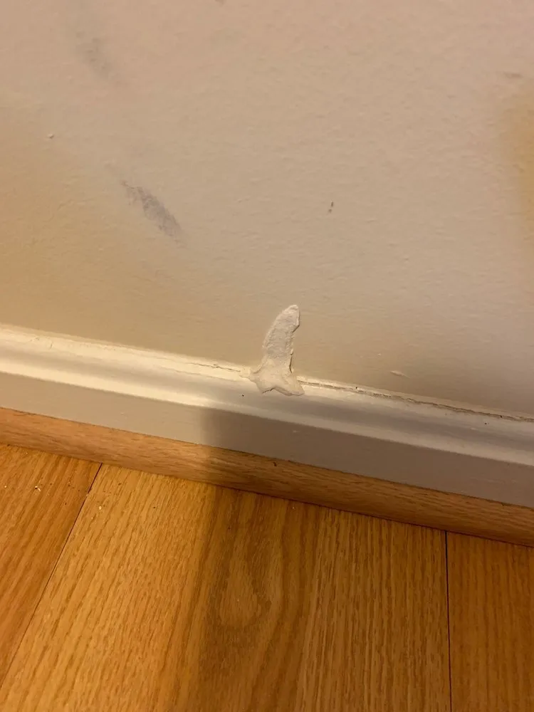 Emergency leak detection experts serving Ashburn, VA - Atlantic Replumbing