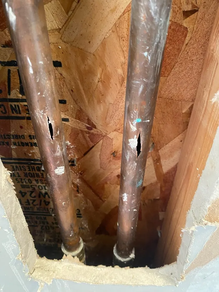 Emergency water heater service for homes in Fife, WA by Atlas Home Services