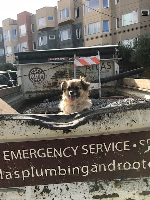 Slide of Atlas Plumbing & Rooter