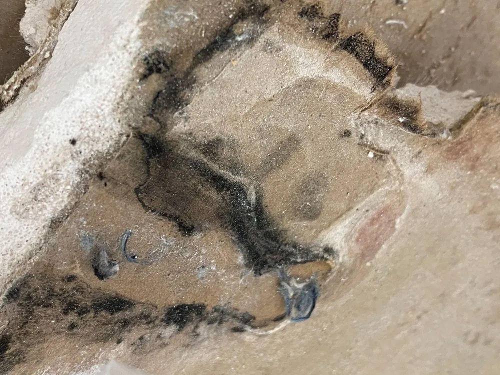 Slide of ATP Plumbing