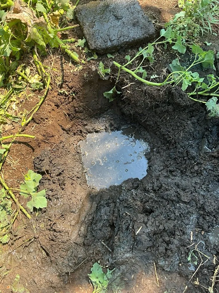 Slide of AttaBoy Plumbing