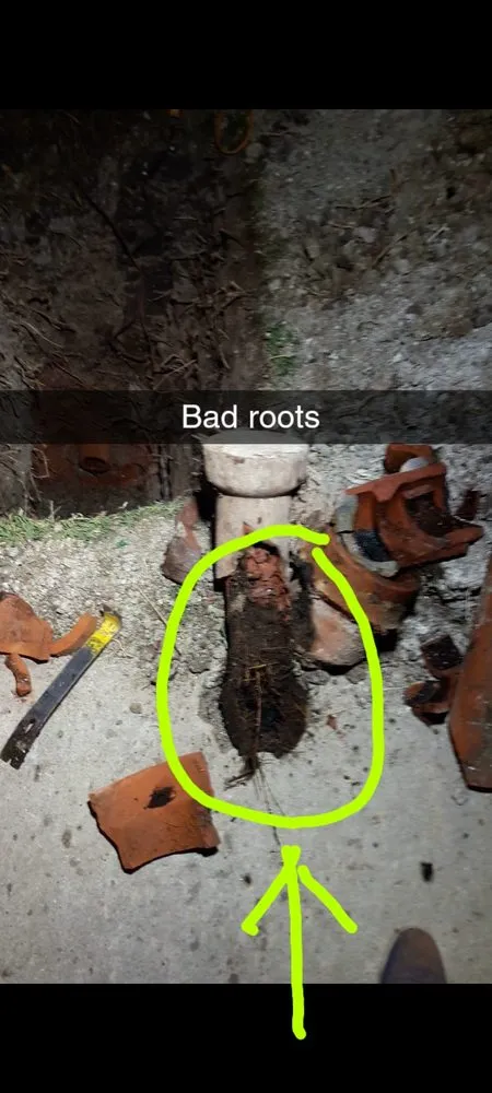 Slide of Attridge Plumbing