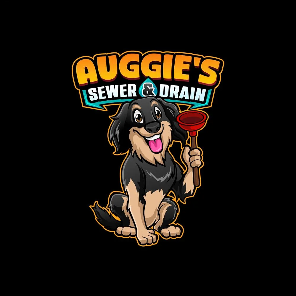 Slide of Auggie's Sewer and Drain