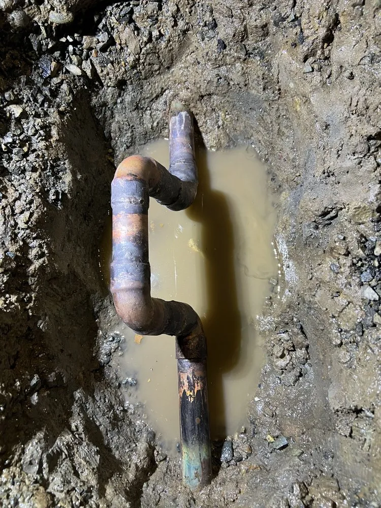 Top-rated drain cleaning experts serving Fair Oaks, CA - August Plumbing